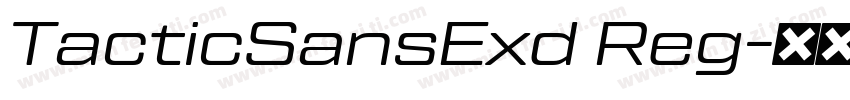 TacticSansExd Reg字体转换